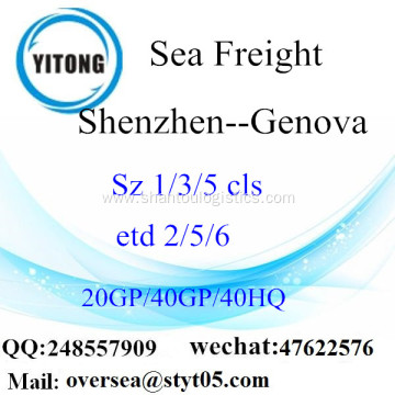 Shenzhen Port Sea Freight Shipping To Genova